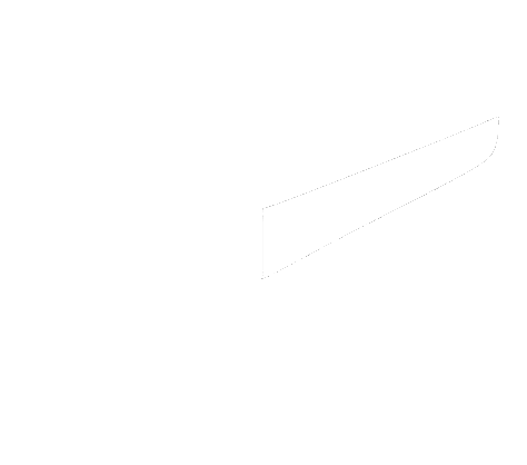Surveillance System